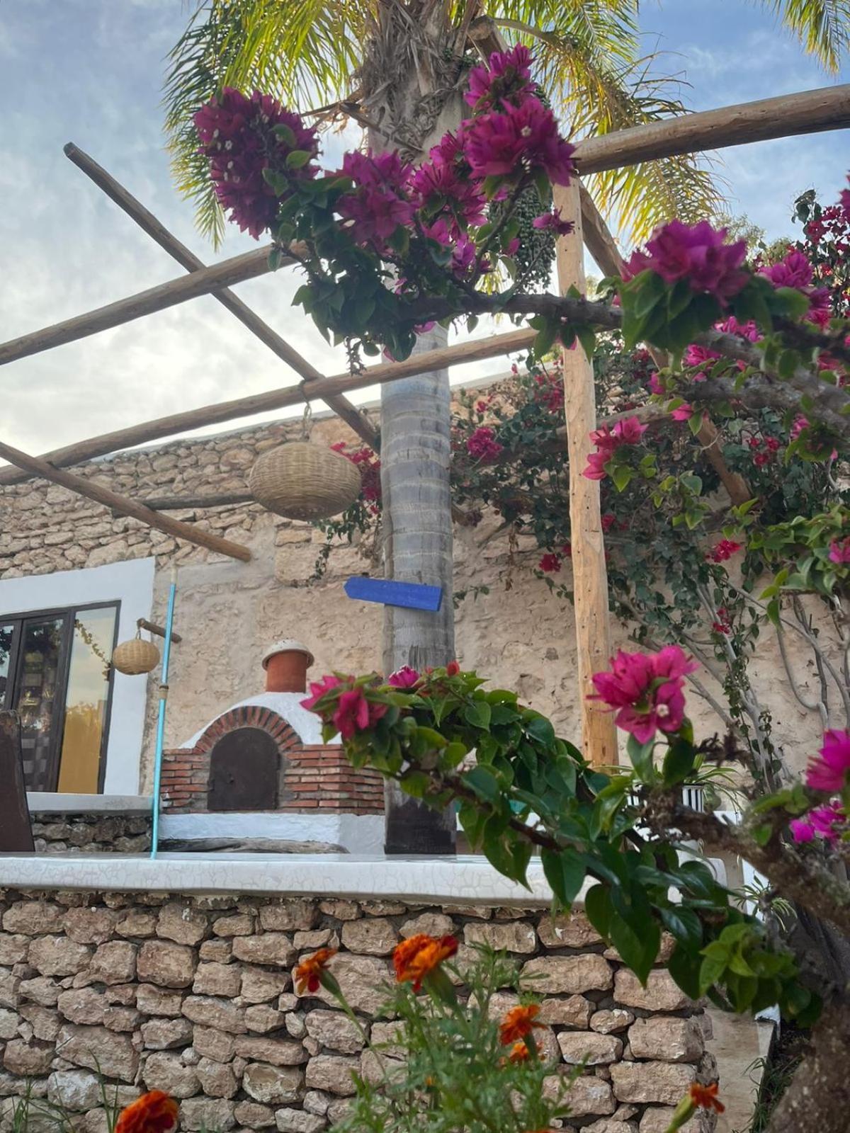 Riad Eucalyptus Essaouira Exterior photo