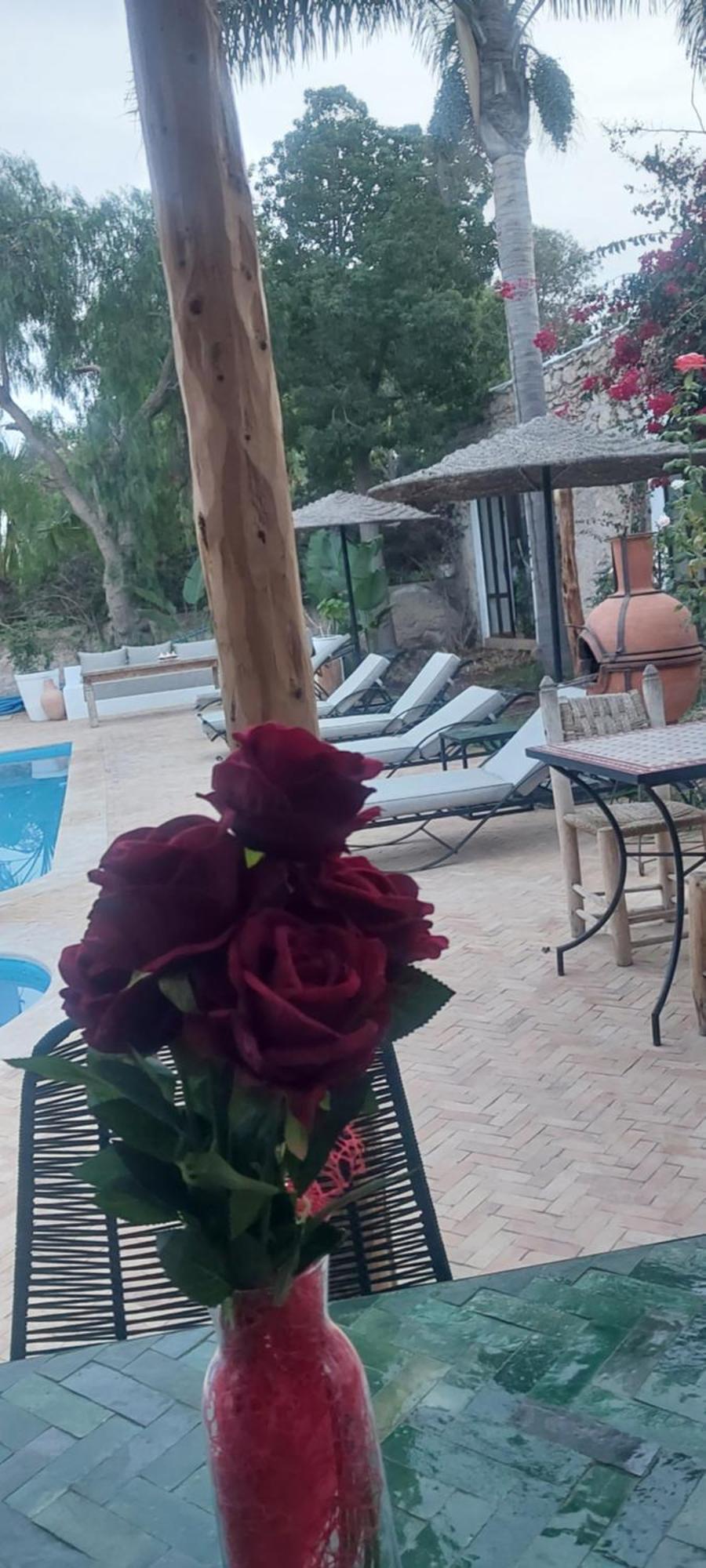 Riad Eucalyptus Essaouira Exterior photo
