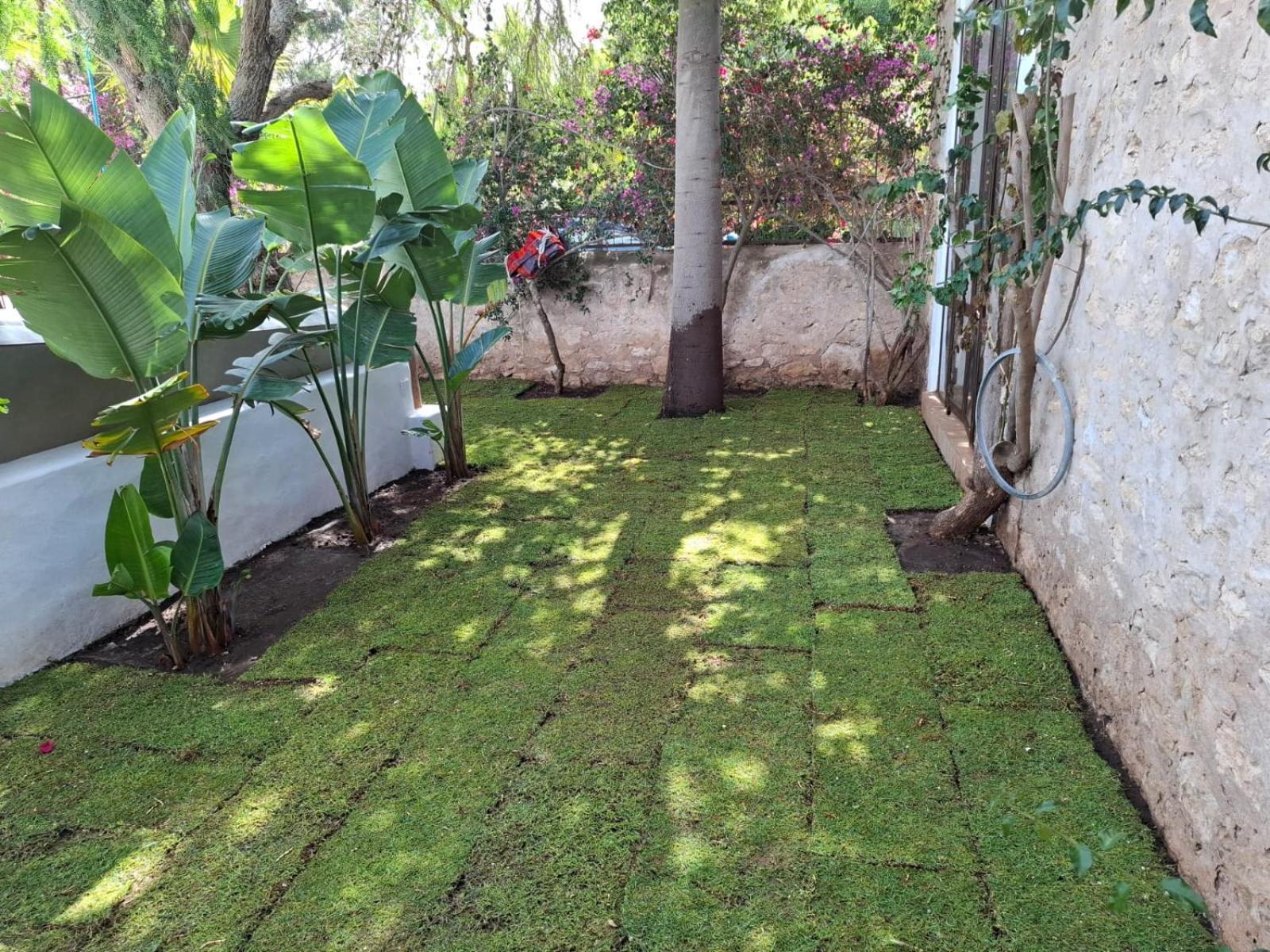 Riad Eucalyptus Essaouira Exterior photo