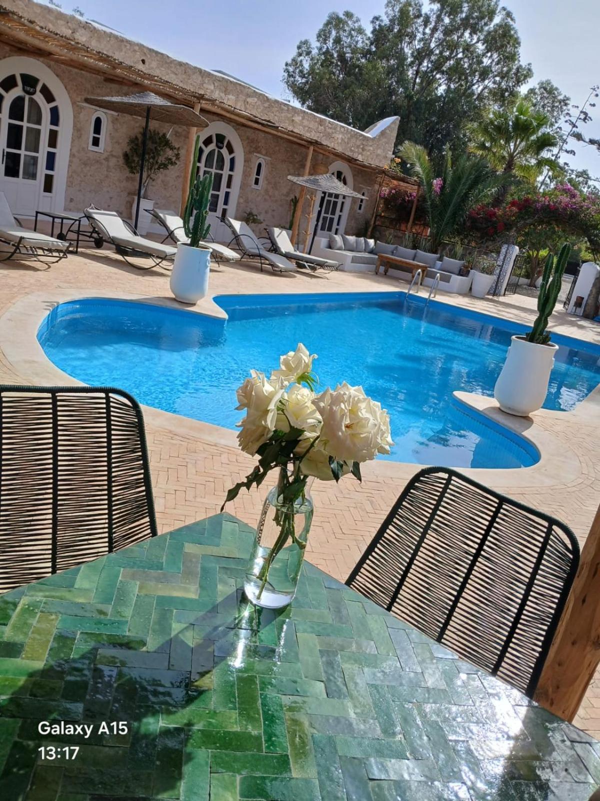 Riad Eucalyptus Essaouira Exterior photo